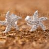 Explore the wonders of the ocean with this pair of Exquisitely detailed star fish stud earrings